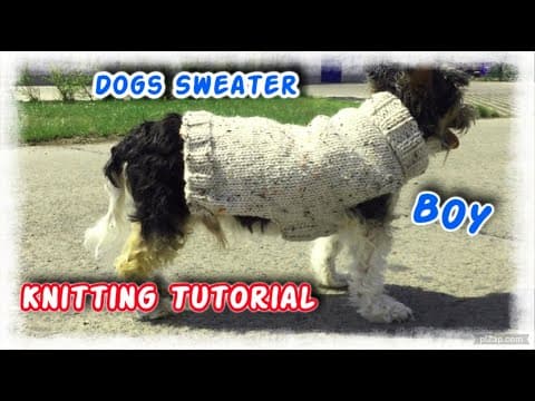 Dog Sweater For Boy Knitting Tutorial