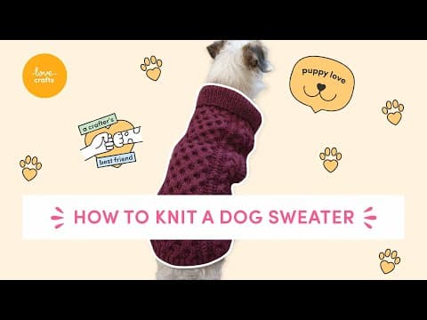 How to knit a dog sweater | FREE Debbie Bliss pattern