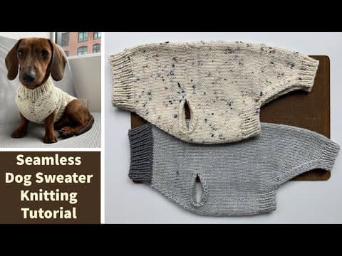 How to make a seamless dog sweater: A step-by-step knitting tutorial
