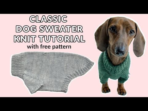 How to make a dog sweater: A step-by-step knitting tutorial