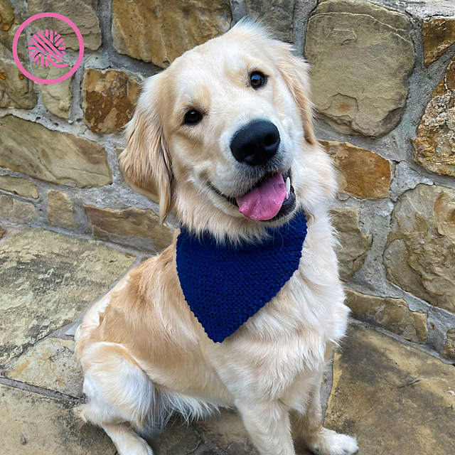 Pet Bandana