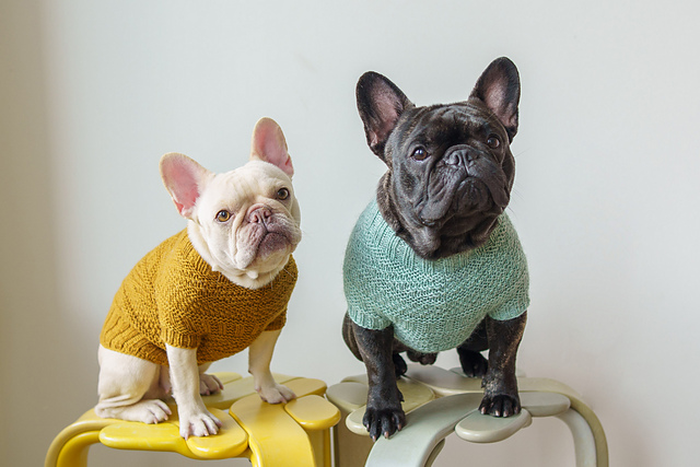 Dustland Dog Sweater