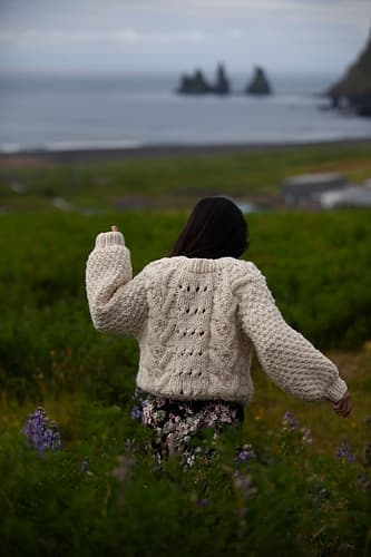 Ginkgo Pullover