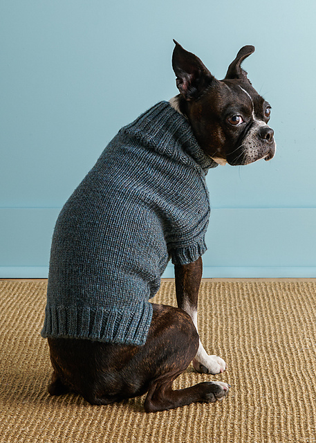 Lucky Dog Sweater