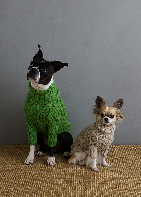 Botanical Yoke Dog Sweater