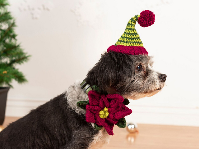 Holiday Pet Accessories